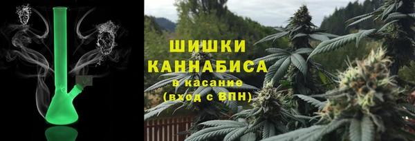 сатива Баксан
