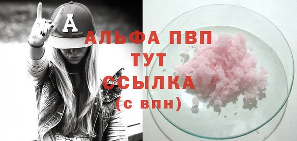 сатива Баксан