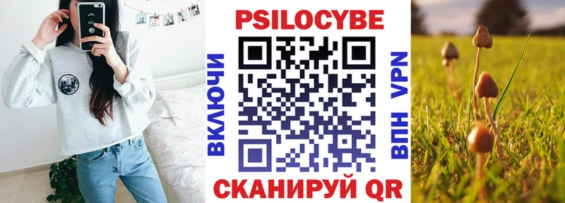 KRAKEN tor  Сосногорск  Псилоцибиновые грибы Psilocybine cubensis 